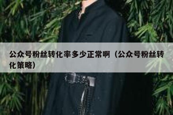 公众号粉丝转化率多少正常啊（公众号粉丝转化策略） 第1张