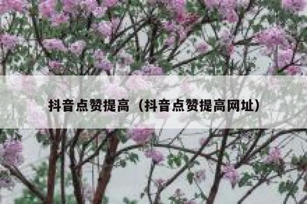 抖音点赞提高（抖音点赞提高网址） 第1张