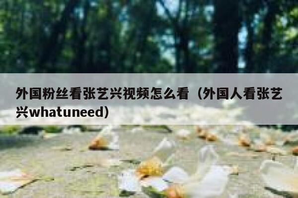 外国粉丝看张艺兴视频怎么看（外国人看张艺兴whatuneed） 第1张
