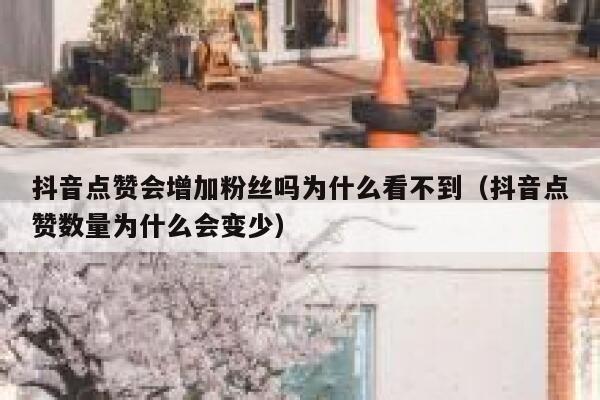 抖音点赞会增加粉丝吗为什么看不到（抖音点赞数量为什么会变少） 第1张