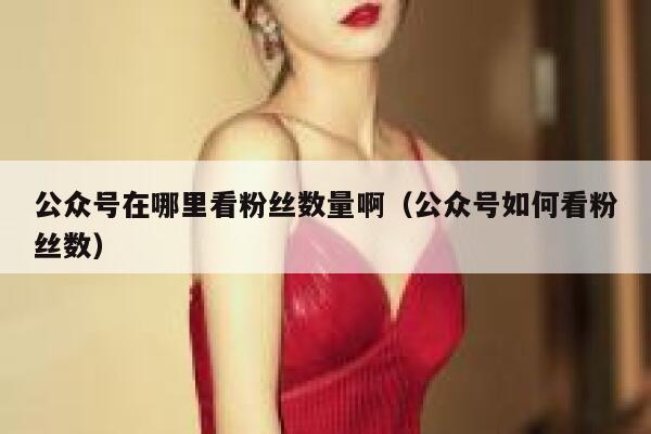 公众号在哪里看粉丝数量啊（公众号如何看粉丝数） 第1张