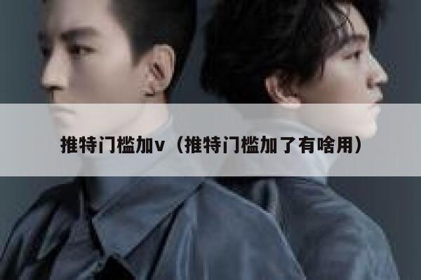 推特门槛加v（推特门槛加了有啥用） 第1张