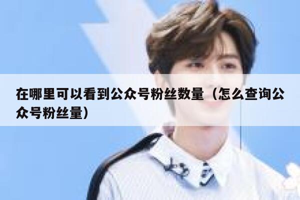 在哪里可以看到公众号粉丝数量（怎么查询公众号粉丝量） 第1张