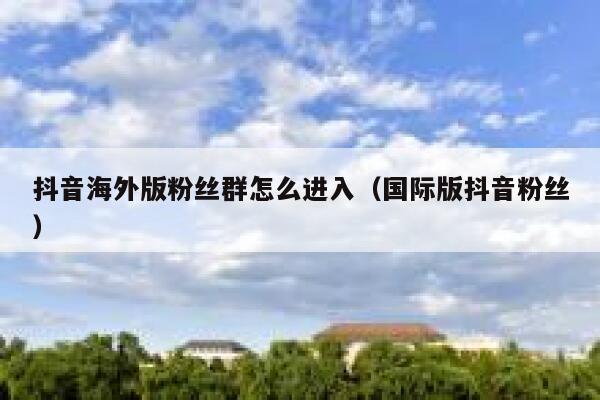 抖音海外版粉丝群怎么进入（国际版抖音粉丝） 第1张