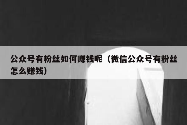 公众号有粉丝如何赚钱呢（微信公众号有粉丝怎么赚钱） 第1张