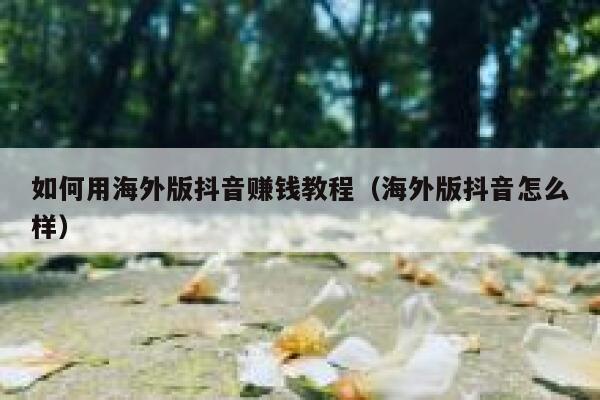 如何用海外版抖音赚钱教程（海外版抖音怎么样） 第1张