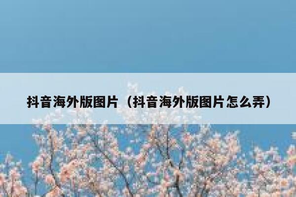 抖音海外版图片（抖音海外版图片怎么弄） 第1张