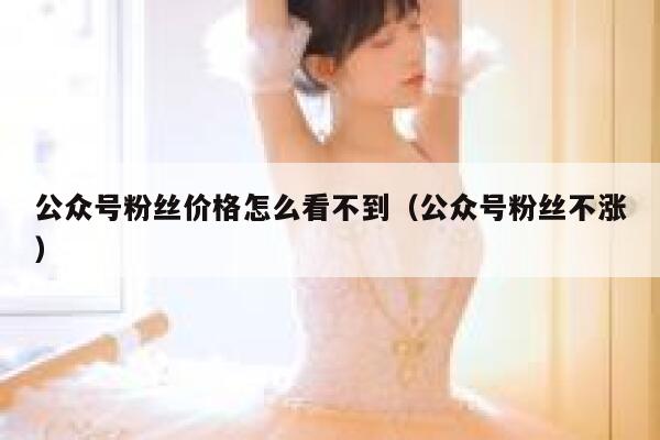 公众号粉丝价格怎么看不到（公众号粉丝不涨） 第1张