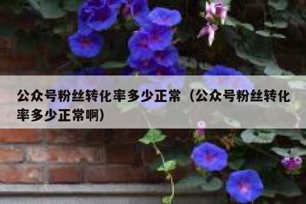 公众号粉丝转化率多少正常（公众号粉丝转化率多少正常啊） 第1张