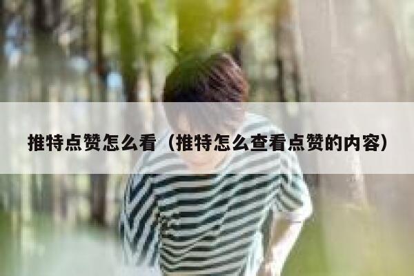 推特点赞怎么看(推特怎么查看点赞的内容) 第1张 推特点赞怎么看(推特怎么查看点赞的内容) 第1张
