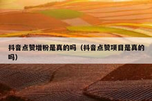 抖音点赞增粉是真的吗（抖音点赞项目是真的吗） 第1张