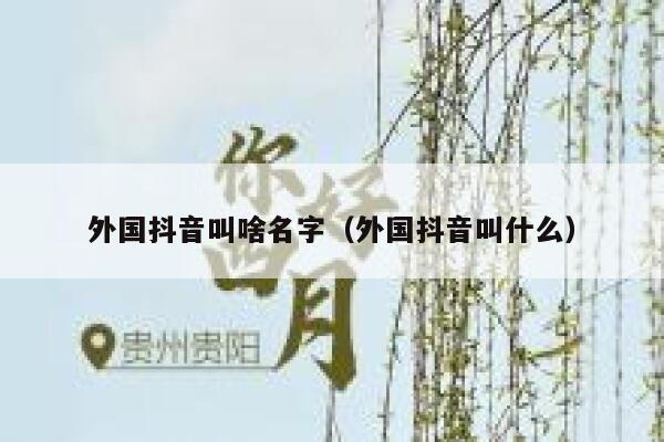 外国抖音叫啥名字（外国抖音叫什么） 第1张