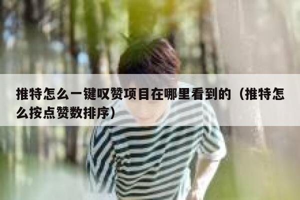 推特怎么一键叹赞项目在哪里看到的（推特怎么按点赞数排序） 第1张