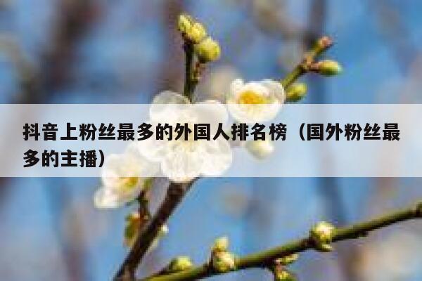 抖音上粉丝最多的外国人排名榜（国外粉丝最多的主播） 第1张