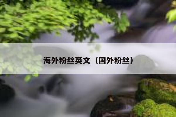 海外粉丝英文（国外粉丝） 第1张
