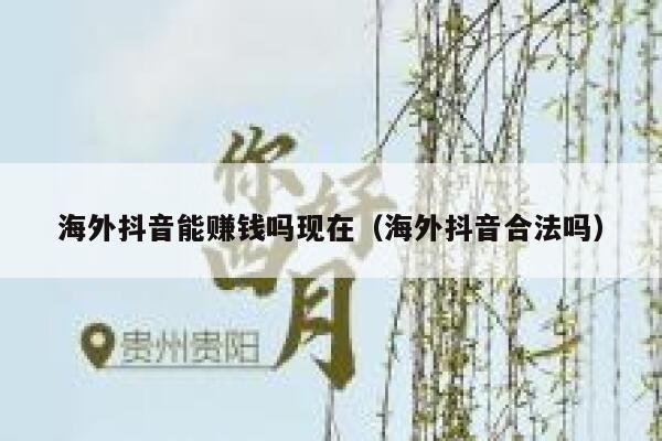 海外抖音能赚钱吗现在（海外抖音合法吗） 第1张