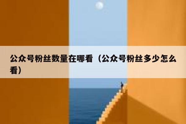 公众号粉丝数量在哪看（公众号粉丝多少怎么看） 第1张