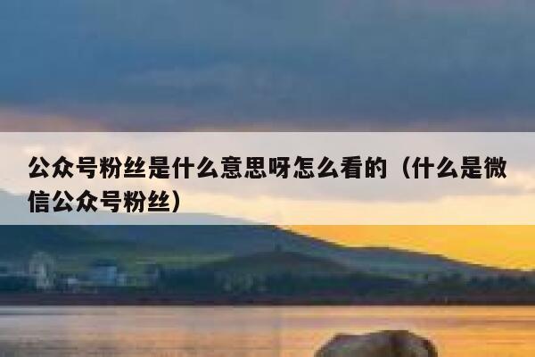 公众号粉丝是什么意思呀怎么看的（什么是微信公众号粉丝） 第1张