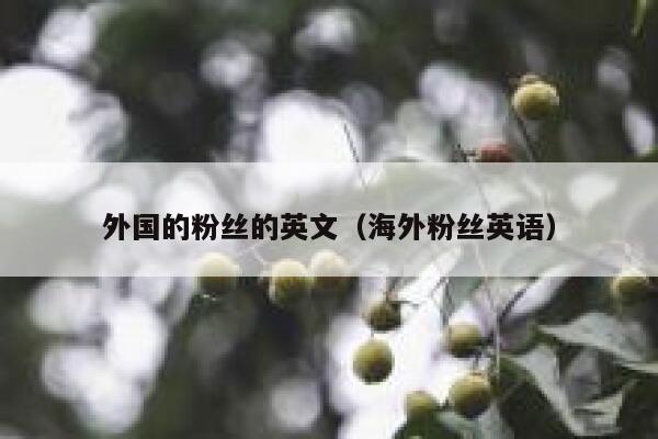 外国的粉丝的英文（海外粉丝英语） 第1张