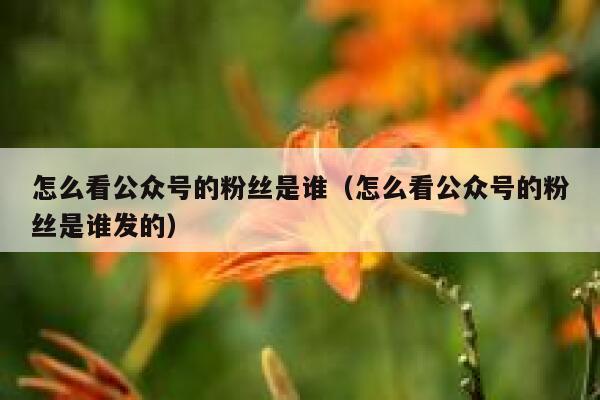 怎么看公众号的粉丝是谁（怎么看公众号的粉丝是谁发的） 第1张