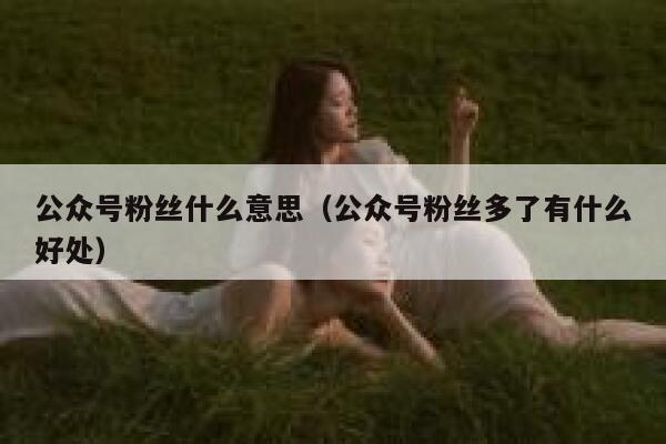 公众号粉丝什么意思（公众号粉丝多了有什么好处） 第1张