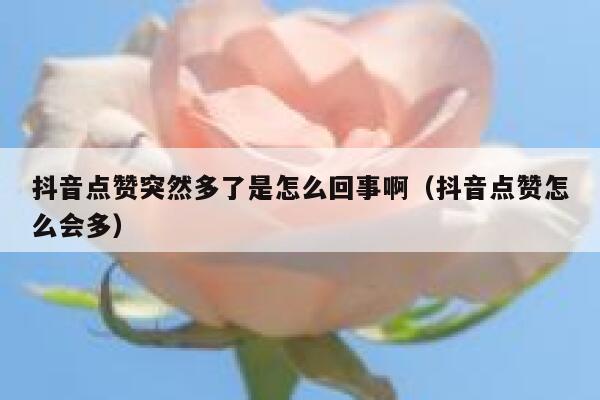 抖音点赞突然多了是怎么回事啊（抖音点赞怎么会多） 第1张