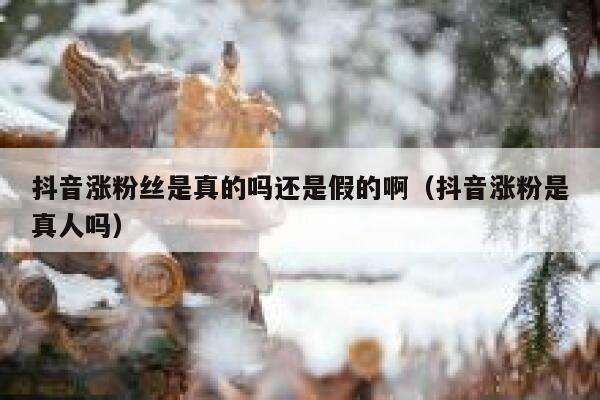 抖音涨粉丝是真的吗还是假的啊（抖音涨粉是真人吗） 第1张