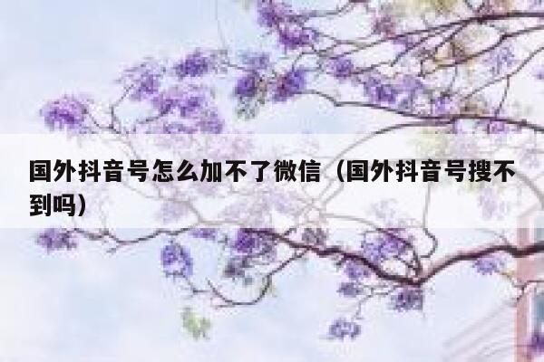 国外抖音号怎么加不了微信（国外抖音号搜不到吗） 第1张