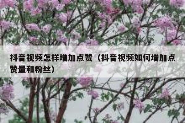 抖音视频怎样增加点赞（抖音视频如何增加点赞量和粉丝） 第1张