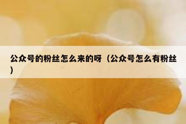 公众号的粉丝怎么来的呀（公众号怎么有粉丝） 第1张
