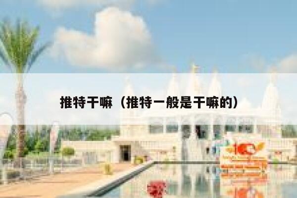 推特干嘛（推特一般是干嘛的） 第1张