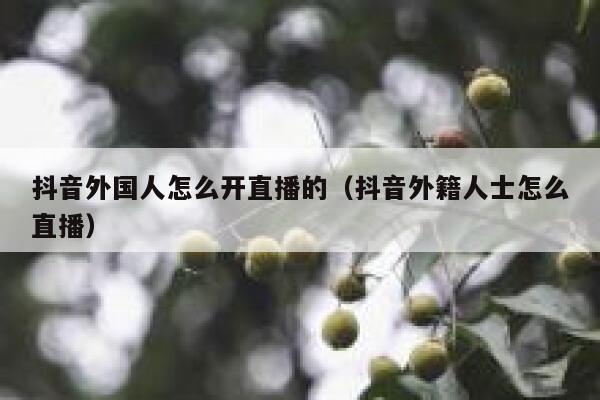抖音外国人怎么开直播的（抖音外籍人士怎么直播） 第1张