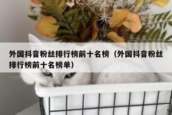 外国抖音粉丝排行榜前十名榜（外国抖音粉丝排行榜前十名榜单） 第1张