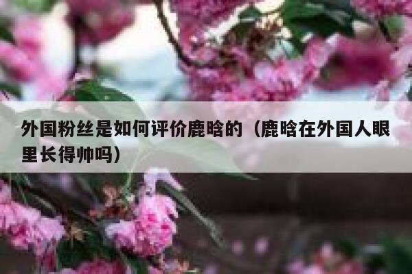 外国粉丝是如何评价鹿晗的（鹿晗在外国人眼里长得帅吗） 第1张