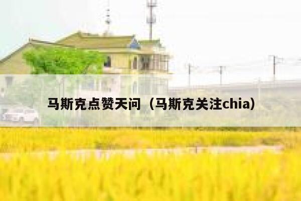 马斯克点赞天问（马斯克关注chia） 第1张