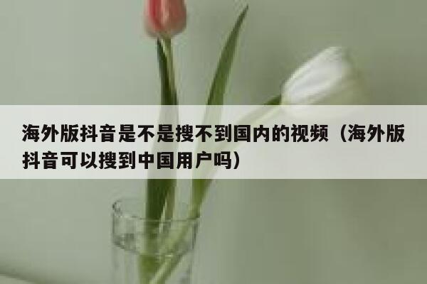 海外版抖音是不是搜不到国内的视频(海外版抖音可以搜到中国用户吗) 第1张 海外版抖音是不是搜不到国内的视频(海外版抖音可以搜到中国用户吗) 第1张