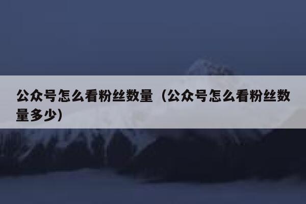 公众号怎么看粉丝数量（公众号怎么看粉丝数量多少） 第1张