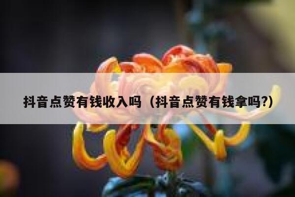 抖音点赞有钱收入吗（抖音点赞有钱拿吗?） 第1张