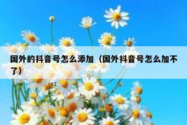 国外的抖音号怎么添加（国外抖音号怎么加不了） 第1张
