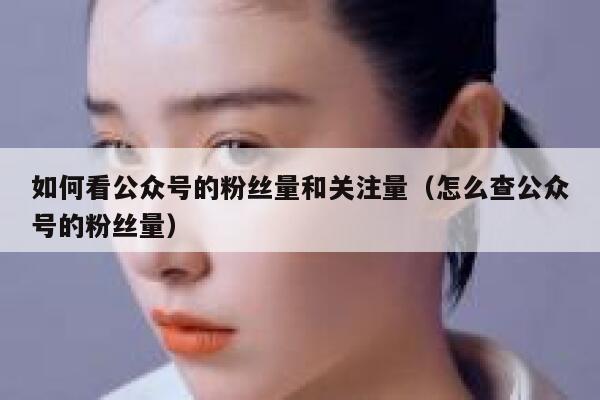 如何看公众号的粉丝量和关注量（怎么查公众号的粉丝量） 第1张