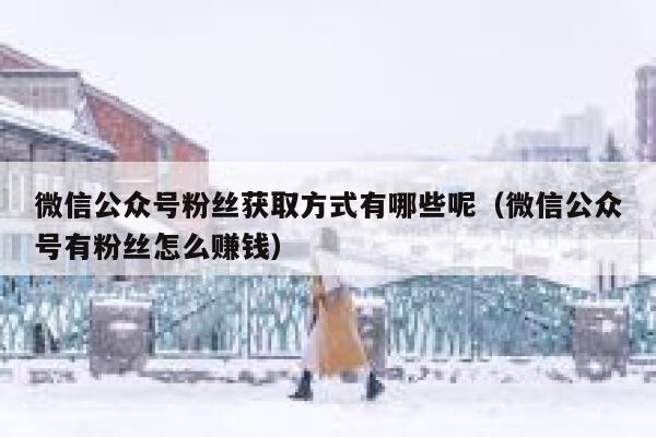 微信公众号粉丝获取方式有哪些呢（微信公众号有粉丝怎么赚钱） 第1张