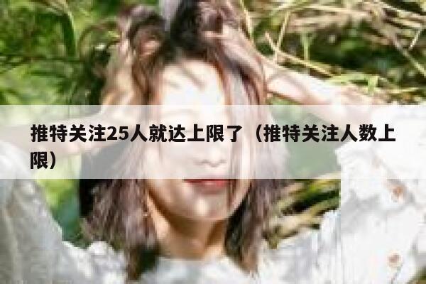 推特关注25人就达上限了（推特关注人数上限） 第1张