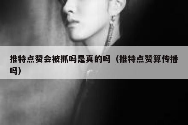 推特点赞会被抓吗是真的吗（推特点赞算传播吗） 第1张