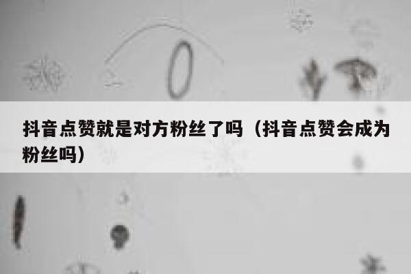 抖音点赞就是对方粉丝了吗（抖音点赞会成为粉丝吗） 第1张