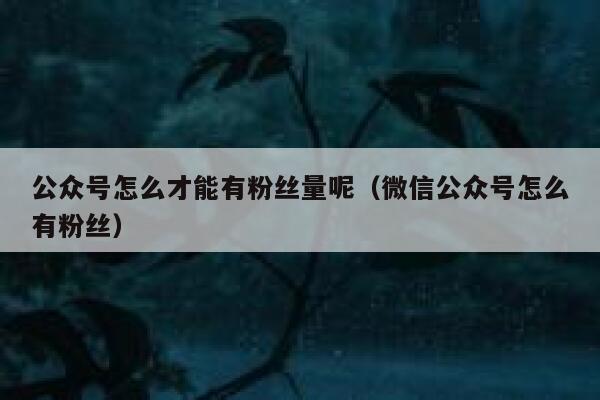 公众号怎么才能有粉丝量呢（微信公众号怎么有粉丝） 第1张