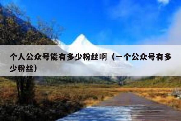个人公众号能有多少粉丝啊（一个公众号有多少粉丝） 第1张