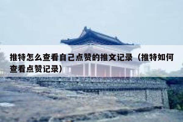 推特怎么查看自己点赞的推文记录（推特如何查看点赞记录） 第1张