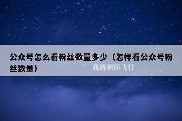 公众号怎么看粉丝数量多少（怎样看公众号粉丝数量） 第1张
