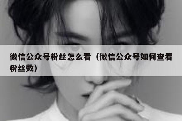 微信公众号粉丝怎么看（微信公众号如何查看粉丝数） 第1张