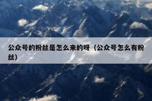 公众号的粉丝是怎么来的呀（公众号怎么有粉丝） 第1张